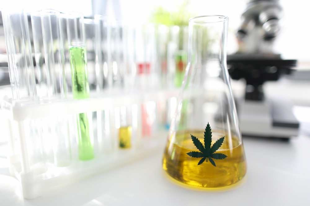 How Can I Determine if My CBD Is High-Quality? 