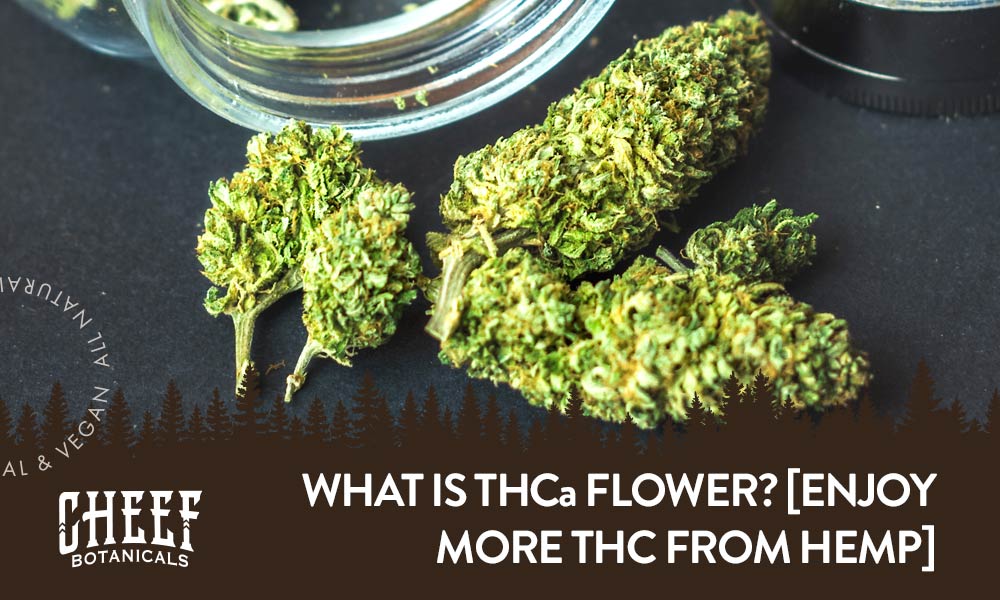 What Is THCa?